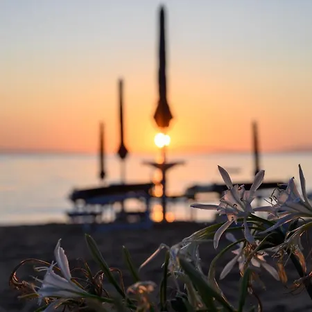 Resort Le Acacie Capoliveri (Isola d'Elba)